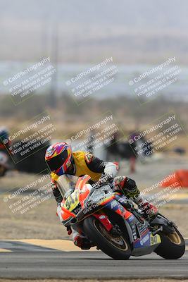 media/Mar-02-2025-Race Pace (Sun) [[8bec80ae00]]/12-Vested (Turn 2) 1111am/